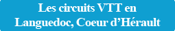 Circuits VTT